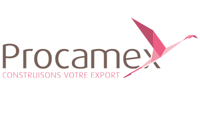 logo procamex